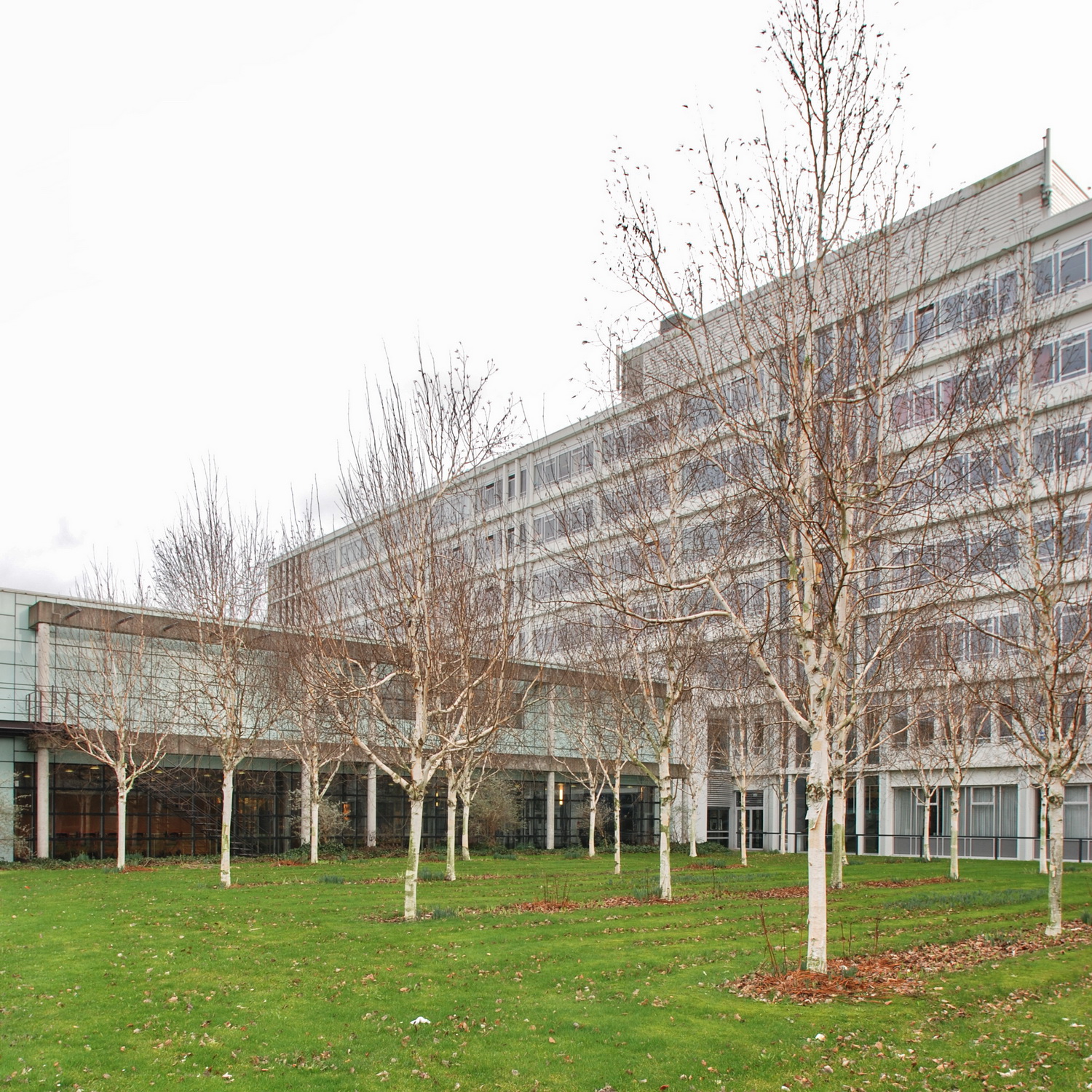 Bravis Ziekenhuis, locatie Roosendaal