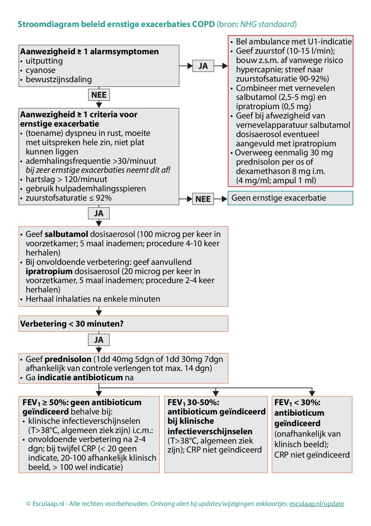 Voorbeeld van pagina 4 van COPD