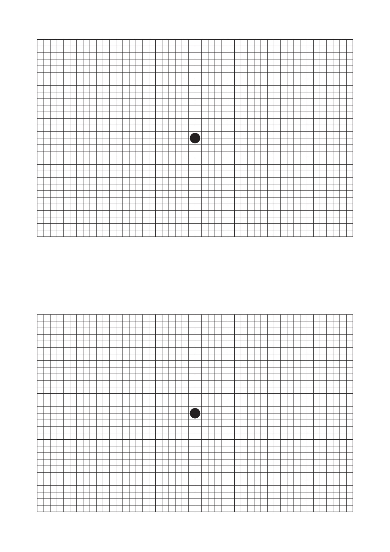 Voorbeeld van pagina 1 van Amslerkaart