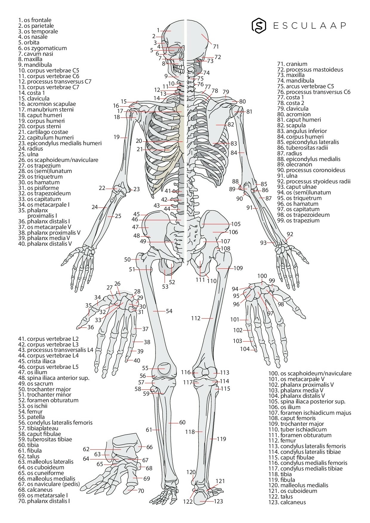 Pagina 1