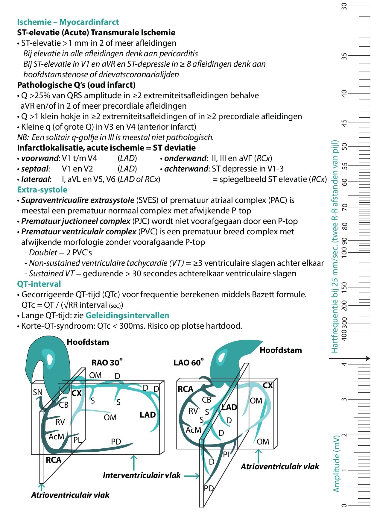 Voorbeeld van pagina 4 van ECG-diagnostiek