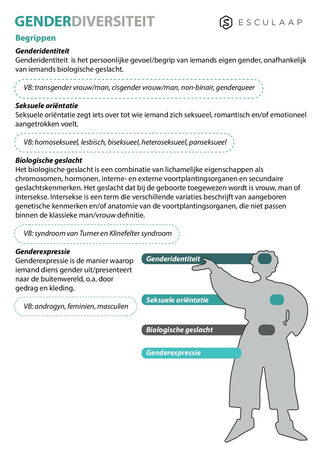 Pagina 1