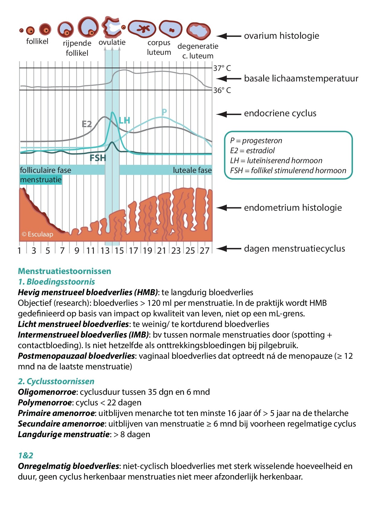 Voorbeeld van pagina 3 van Gynaecologie