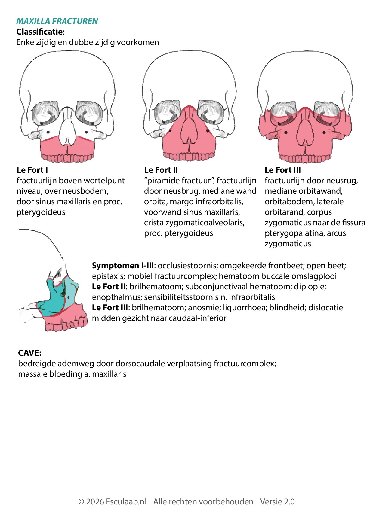 Voorbeeld van pagina 4 van MKA-Chirurgie Trauma