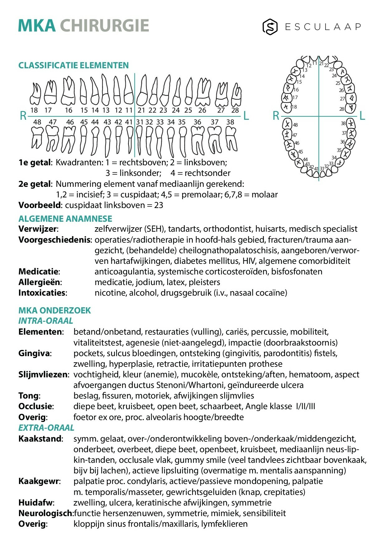 Pagina 1