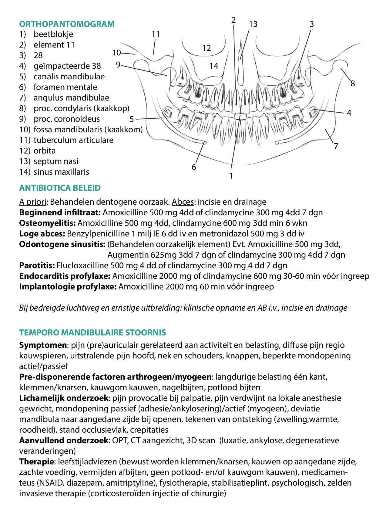 Voorbeeld van pagina 2 van MKA-Chirurgie