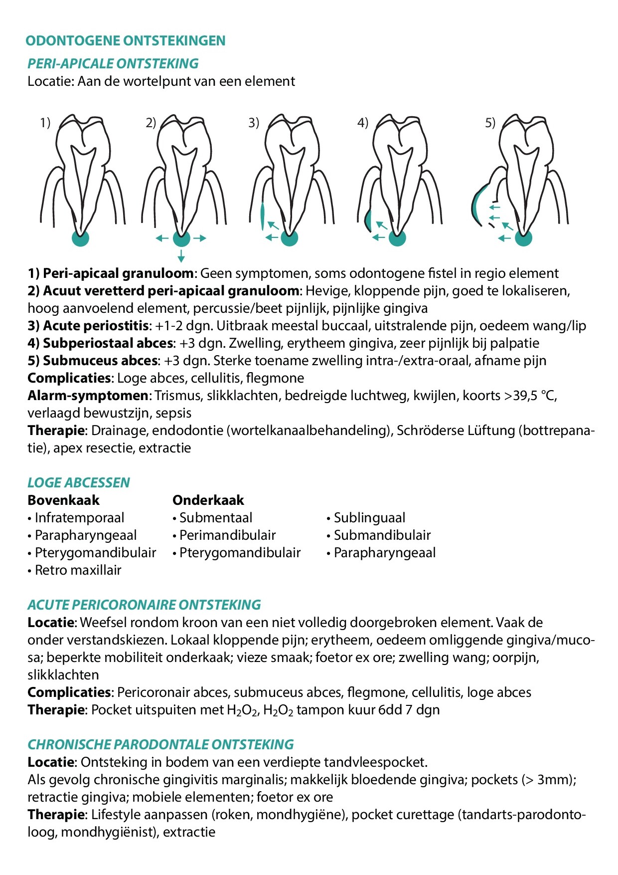 Voorbeeld van pagina 3 van MKA-Chirurgie