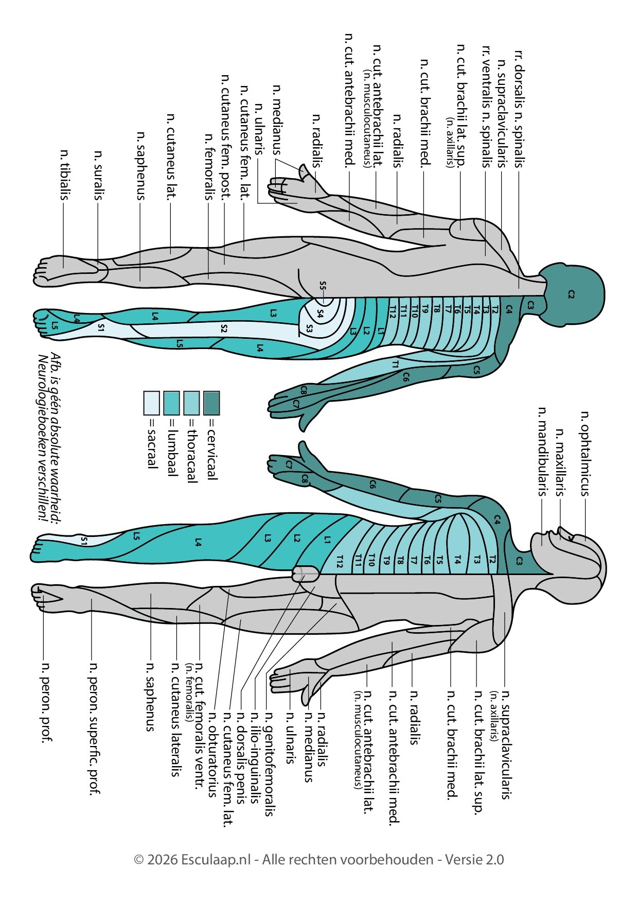 Voorbeeld van pagina 4 van Neurologisch Onderzoek