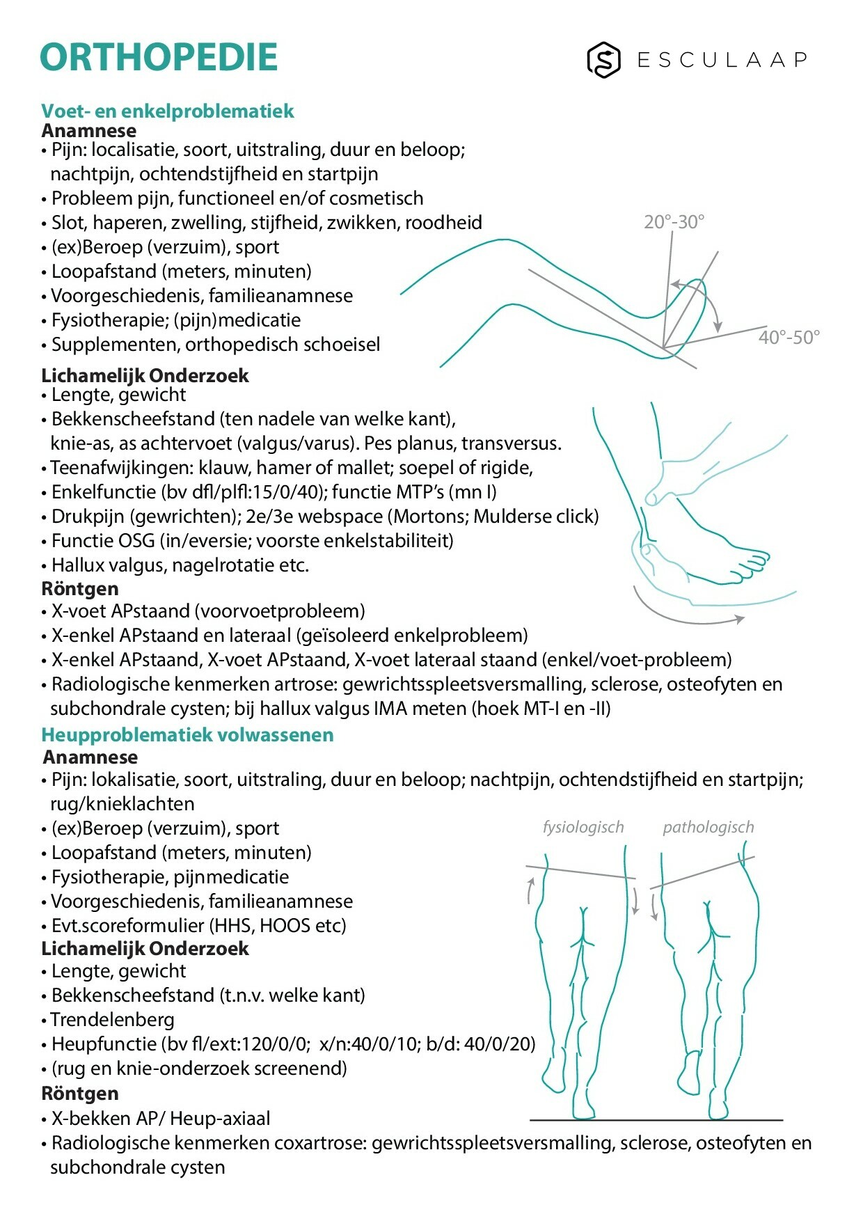 Pagina 1