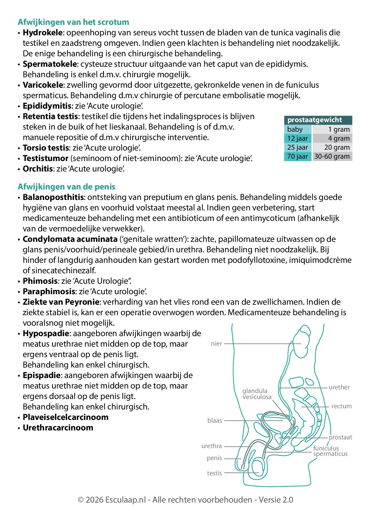Voorbeeld van pagina 4 van Urologie