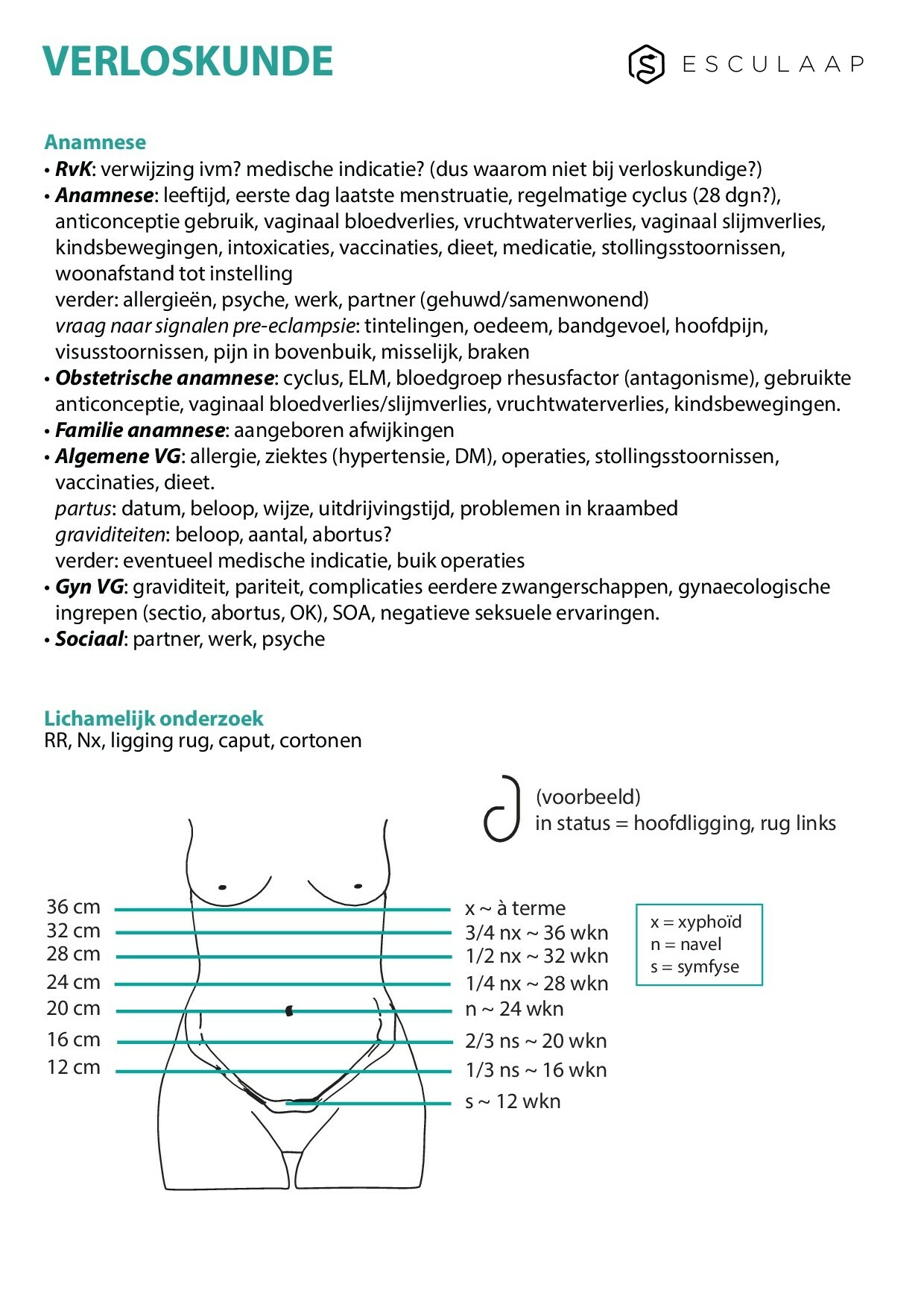 Pagina 1