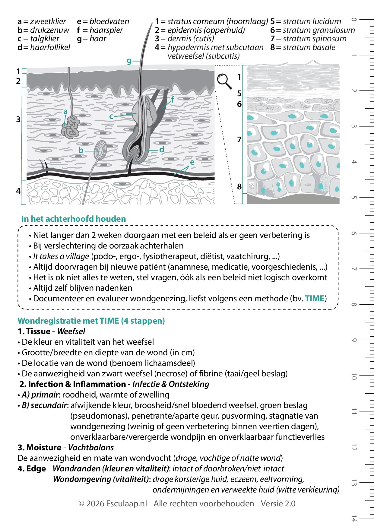 Voorbeeld van pagina 4 van Wondzorg
